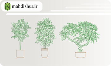 بلاک انواع گیاهان خانگی